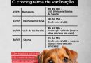 Prefeitura de Três Rios inicia pré-campanha de vacinação antirrábica