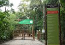 Parque Natural de Nova Iguaçu realiza programação gratuita neste fim de semana&nbsp;