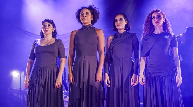 Teatro Maestro Franklin de Carvalho Jr, em Volta Redonda, recebe espetáculo em homenagem a Bibi Ferreira na quarta-feira (29)