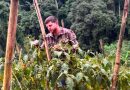 Leis aprovadas pela ALERJ fortalecem a agricultura familiar e valorizam quem produz alimentos no Rio
