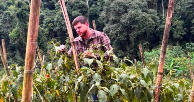 Leis aprovadas pela ALERJ fortalecem a agricultura familiar e valorizam quem produz alimentos no Rio