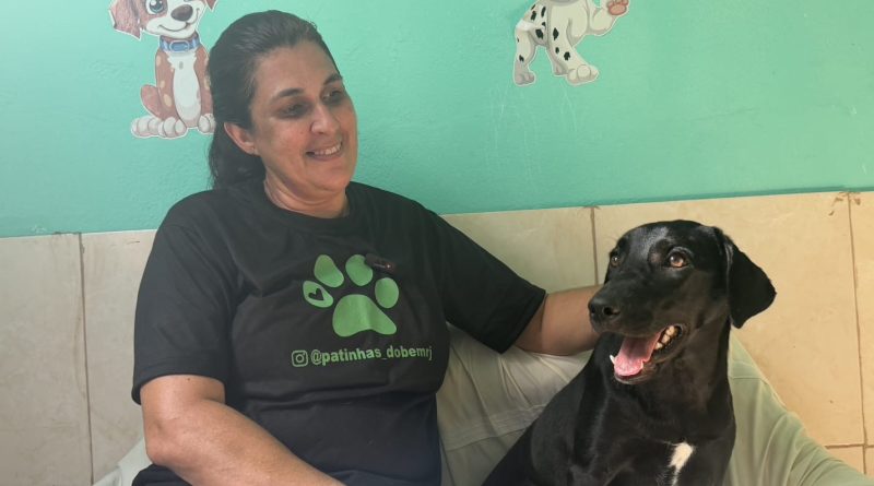 Um a cada 11 animais adotados é devolvido em Nova Iguaçu