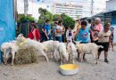 Centro de Referência do Autista faz ação com terapia assistida por animais