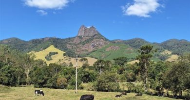 Dia de Proteção às Florestas: Leis fortalecem preservação ambiental no Estado do Rio