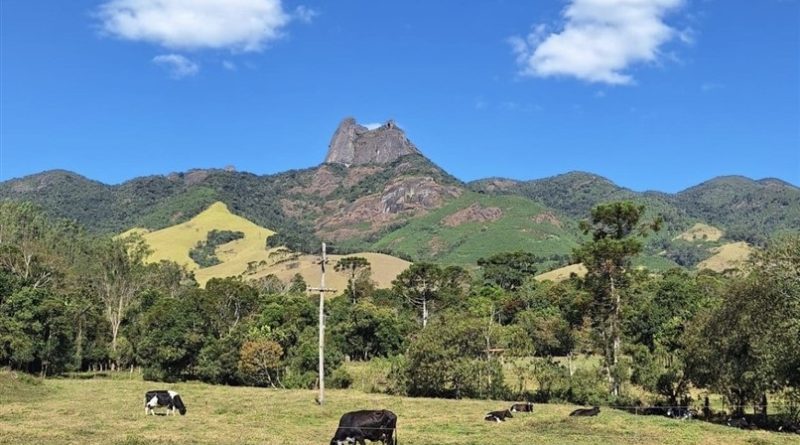 Dia de Proteção às Florestas: Leis fortalecem preservação ambiental no Estado do Rio