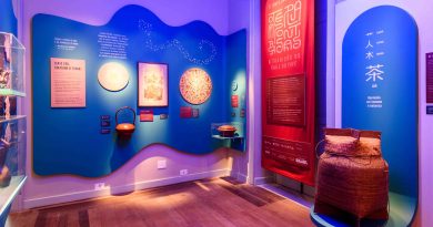 Casa Pacheco Leão recebe a exposição “O Tempo das Plantas” 
