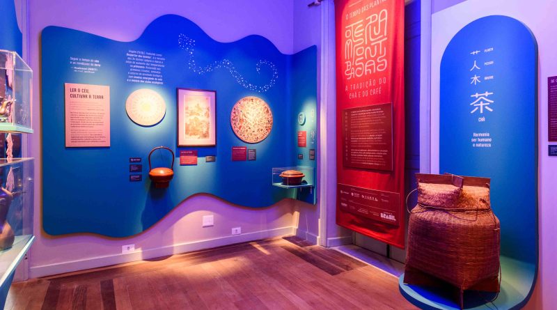 Casa Pacheco Leão recebe a exposição “O Tempo das Plantas” 
