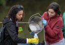 25 tipos de agrotóxicos são detectados no rio Tietê, mostra estudo da SOS Mata Atlântica