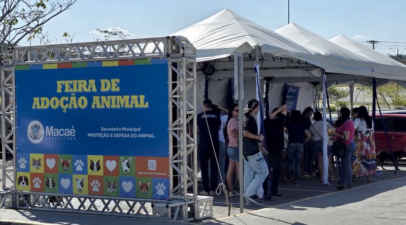 Feira de Adoção Animal acontece neste sábado (22) no Shopping Plaza Macaé