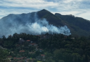 Rio registra mais de mil incêndios florestais em sete dias