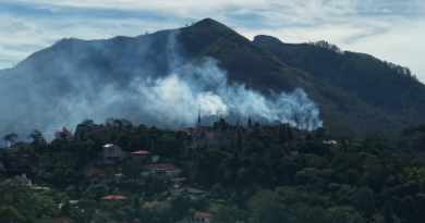 Rio registra mais de mil incêndios florestais em sete dias