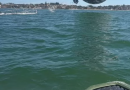 Balão de 30 metros cai na Lagoa de Araruama e é apreendido pela polícia