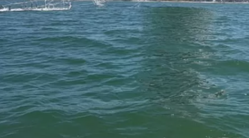 Balão de 30 metros cai na Lagoa de Araruama e é apreendido pela polícia