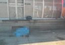 Homem morre atropelado por BRT na Avenida Brasil