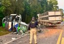 Colisão entre ônibus e caminhão deixa 23 mortos no Paraná