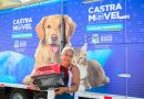 Belford Roxo: Secretaria de Proteção e Defesa Animal realiza castração de gatos e cães no Bom Pastor