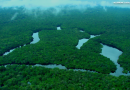 Brasil tem redução dos alertas de desmatamento na Amazônia e no Cerrado
