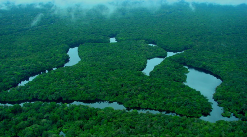 Brasil tem redução dos alertas de desmatamento na Amazônia e no Cerrado