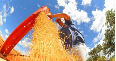 Criadores terão acesso a novos produtos para ração animal pelo Programa de Venda em Balcão