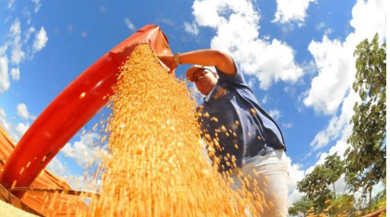 Criadores terão acesso a novos produtos para ração animal pelo Programa de Venda em Balcão