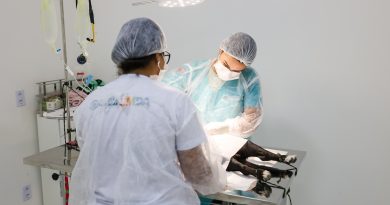 Saquarema terá mutirão de adoção e castração animal neste sábado