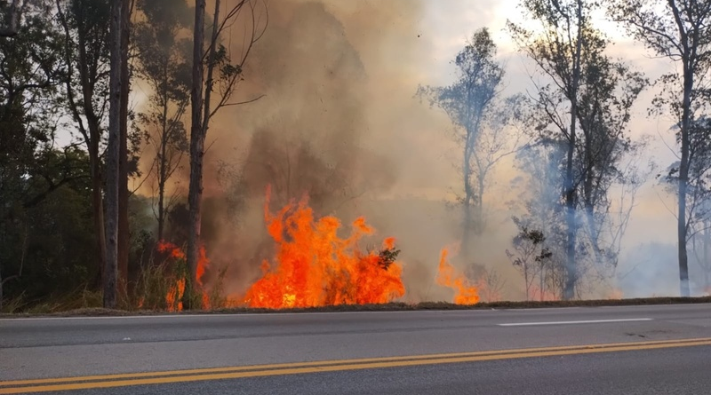 Período de seca concentra mais de 75% dos incêndios às margens da BR-040 e reforça alerta para prevenção