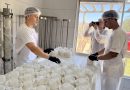 Prefeitura promove visita técnica para fortalecer produção de queijos em Resende