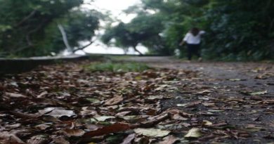 Estado do Rio de Janeiro registra 28 mil casos de acidentes com animais potencialmente transmissores de raiva entre janeiro e julho