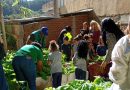 Petrópolis: Crianças colhem alimentos cultivados em horta didática da Escola Germano Valente