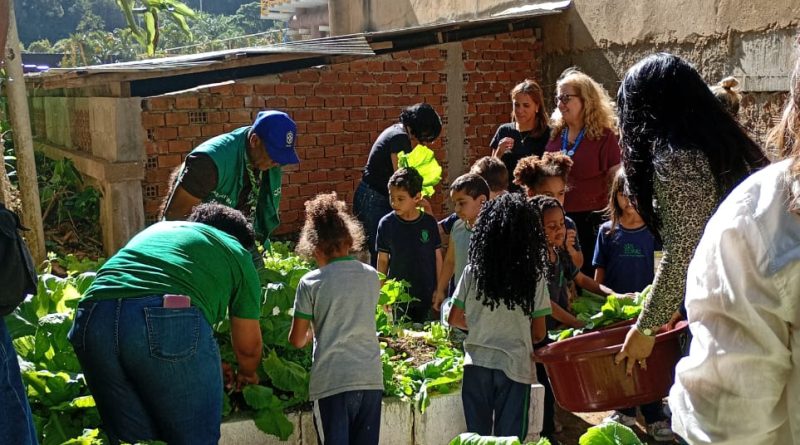 Petrópolis: Crianças colhem alimentos cultivados em horta didática da Escola Germano Valente