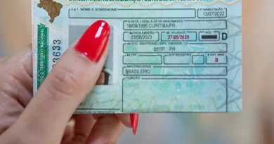 Câmara aprova suspensão da CNH para motorista que abandonar animal