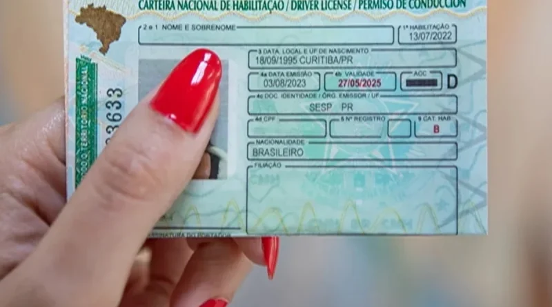 Câmara aprova suspensão da CNH para motorista que abandonar animal