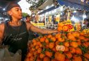 Hoje é dia do feirante! Frutas da Estação e preços mais em conta: ALERJ destaca leis de incentivo às feiras