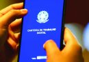 PNAD Contínua: taxa de desocupação chega a 5,3%, a menor da série histórica