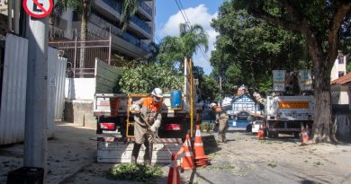 Cerca de 14 mil clientes seguem sem energia elétrica após ventania no Rio