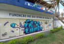 Rio das Ostras: Parceria entre Fundação de Cultura e Sebrae RJ promove mutirão de formalização do MEI