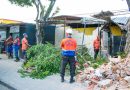 Defesa Civil de Meriti remove árvores e estruturas danificadas no Grande Rio