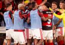 Flamengo vence Vitória com golaço de Pulgar pelo Brasileirão