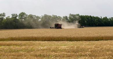 Agricultura empresarial contrata R$ 28,2 bilhões em crédito rural no primeiro mês da safra 2026/2027