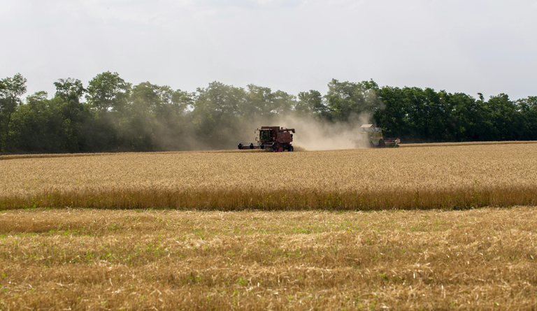 Agricultura empresarial contrata R$ 28,2 bilhões em crédito rural no primeiro mês da safra 2026/2027