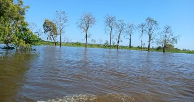 Sala de Situação avalia riscos do El Niño e organiza medidas de preparação por região