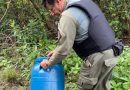 São Gonçalo: ASAS realiza soltura de jiboia em seu habitat natural&nbsp;