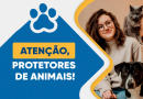 Cadastro de protetores de animais em São Pedro da Aldeia é prorrogado até 19 de novembro