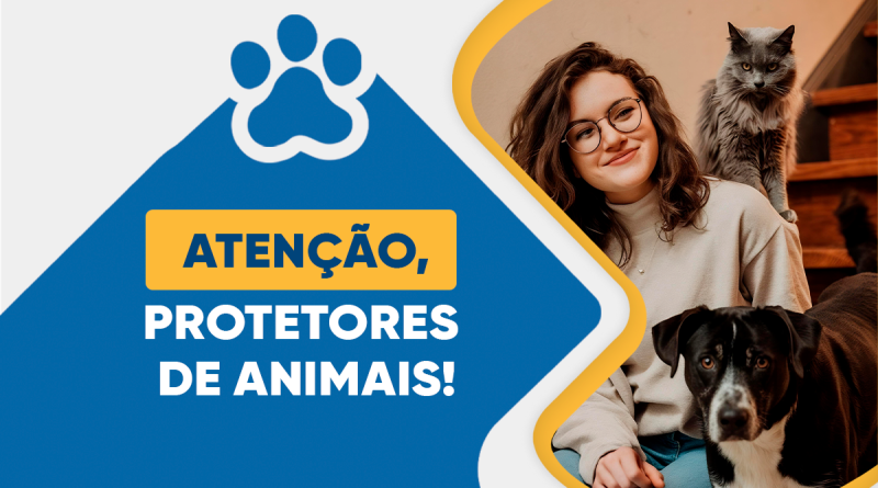 Cadastro de protetores de animais em São Pedro da Aldeia é prorrogado até 19 de novembro