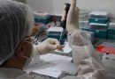 Famílias de pessoas desaparecidas podem fazer coleta gratuita de DNA em 342 postos