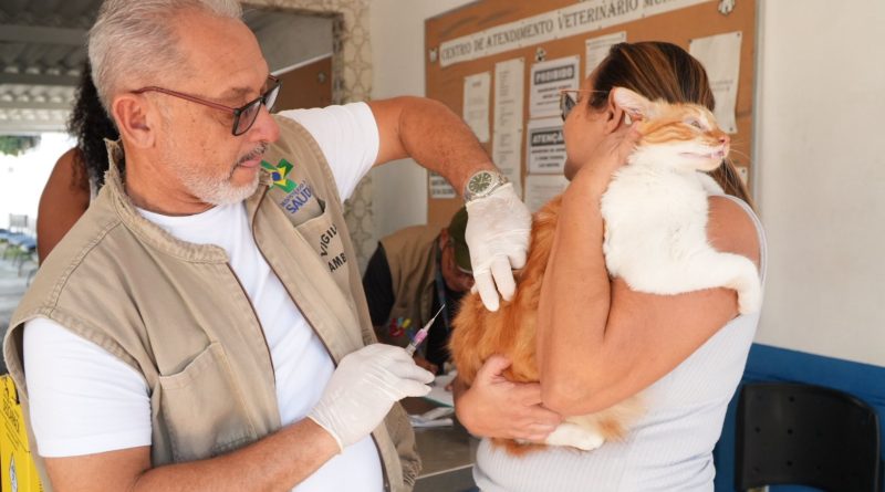 Sábado de vacinação contra raiva animal em São Gonçalo&nbsp;
