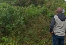 Operação Mata Atlântica de Pé fiscaliza áreas de vegetação no distrito de Tamoios, em Cabo Frio