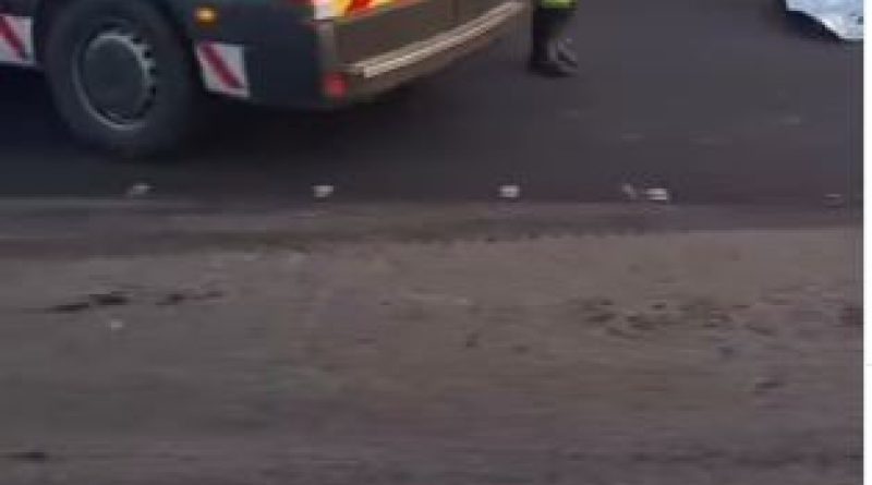 Motociclista morre após atropelar porco na BR-101, em São Gonçalo