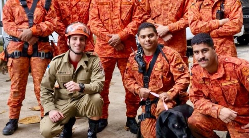 Bombeiros resgatam cão em área de difícil acesso na Zona Sul