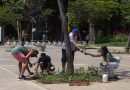 Praça Mauá tem paisagismo revitalizado com 1,2 mil mudas